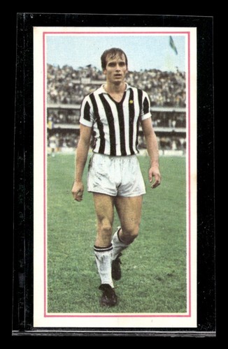 Tematica juventus panini - juventus,