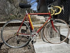 1977 Colnago Super. Very Good