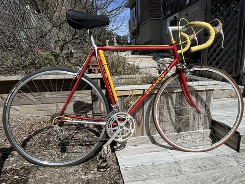 1977 colnago super - 1977,
