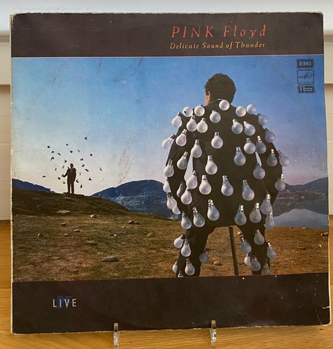 Pink floyd delicate - delicate, sound