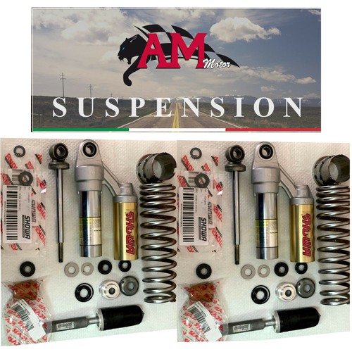 Revisione doppi ammortizzatori - revisione,