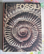 Fossili Invertebrati -