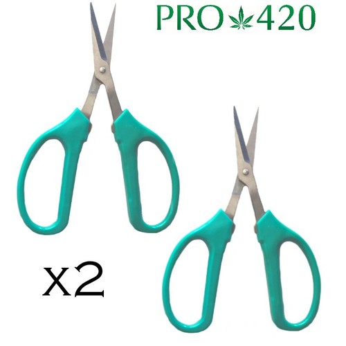 Forbici potatura bud - forbici,