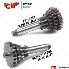 INGRANAGGIO CAMBIO MULTIPLO