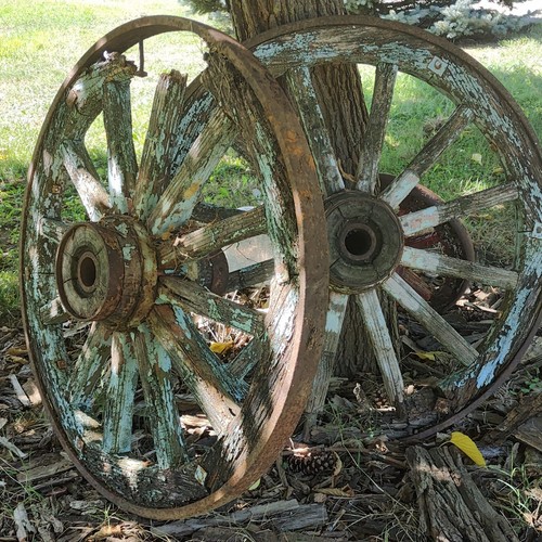 Coppia ruote carro - coppia, da