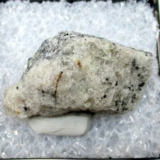 20172 TN Afghanite Hornblende