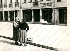 1957 BELLUNO Tabacchi galleria commerciale Vespa fermata autobus Fotografia