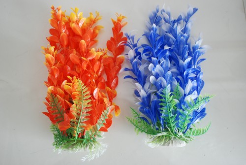 Acquario piante ca 25cms - ca,