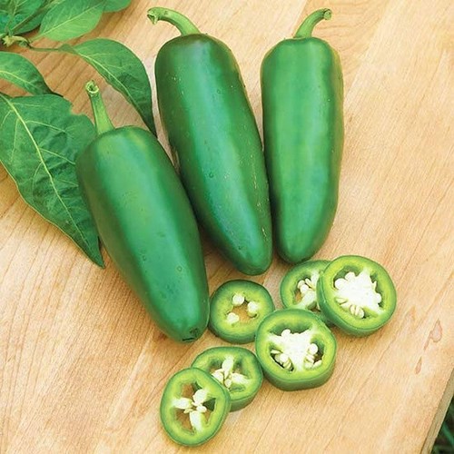 100 semi pepe jalapeno - 100,