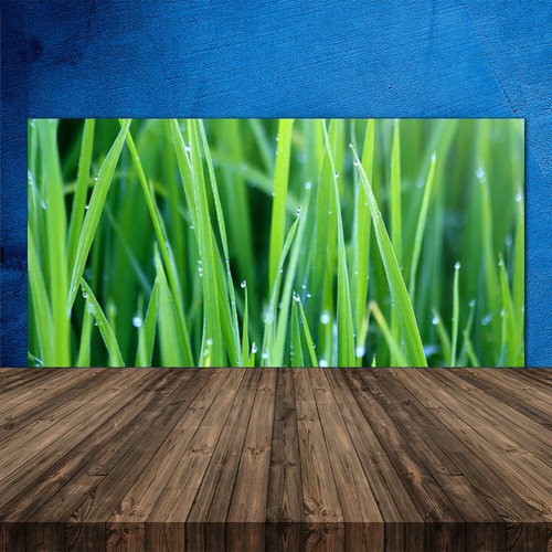 Paraschizzi cucina 120x60 - paraschizzi, da