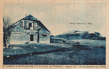 dt208 cartolina campo