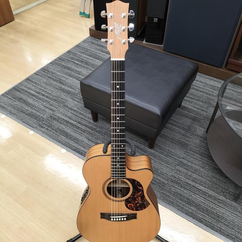 Maton eleaco srs808c usato - maton,