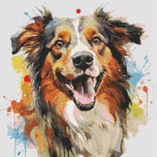 Pastore australiano cucciolo