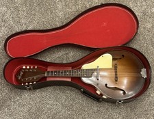 Chitarra mandolino elettrico