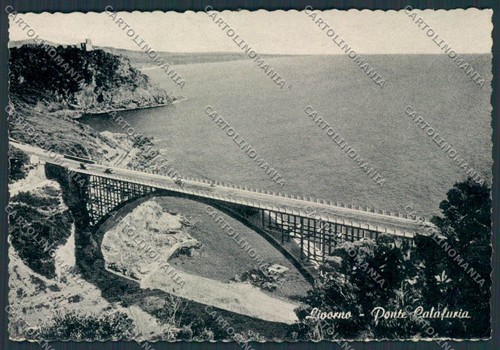 Livorno città ponte calafuria - livorno,
