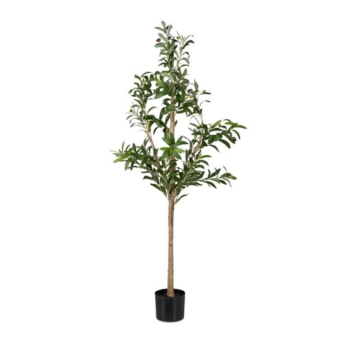 Relaxdays albero ulivo - di,