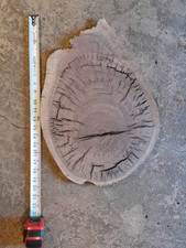 Fetta di noce nero Live Edge 1