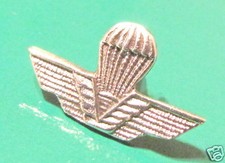 BREVETTO DISTINTIVO PIN