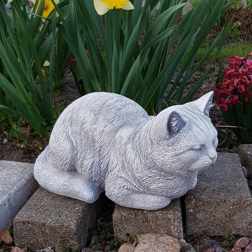 Gatto gattino statua - , pietra