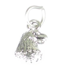 Charms TINY in argento