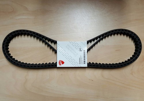 Set cinghia distribuzione - cinghia, cam