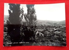 Cartolina LANUSEI (Ogliastra)