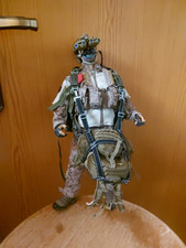 Damtoys 1/6 Action figure Soldier  Militari Action Figure