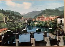 Cartolina Castelnuovo Garfagnana Lucca Viaggiata