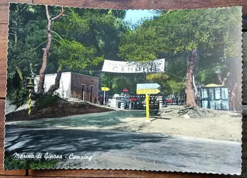 Marina ginosa 1962 - di,