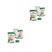 Royal Canin Mini Adult in