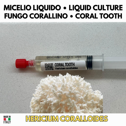 Fungo corallo coltura - corallo,