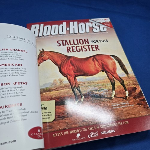 Bloodhorse stallion register - bloodhorse,
