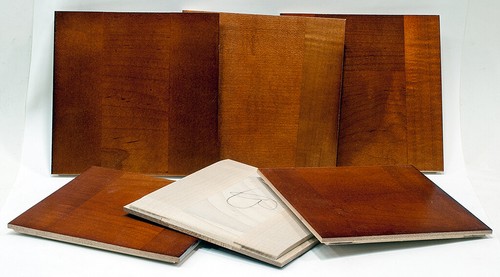 Scheda obiettivo legno - scheda,