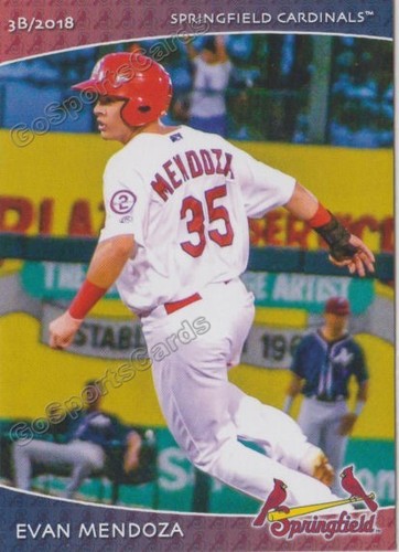 Springfield cardinals 2018 sga - 2018,