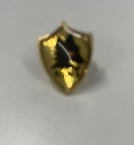 Pin spilla badge distintivo - pin, as
