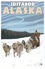 Iditarod Trail Sled Dog Race Alaska, Sledding Mushing AK Husky - cartolina moderna