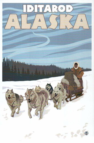 Iditarod trail sled dog race - trail,