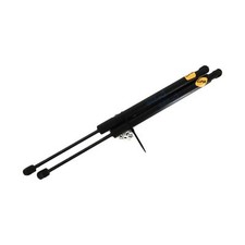 Coppia Pistoni Portellone