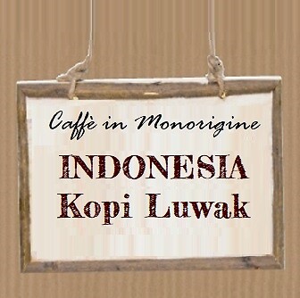 Indonesia kopi luwak wild gayo - indonesia,