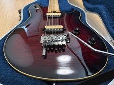 Peavey Evh Wolfgang Usa