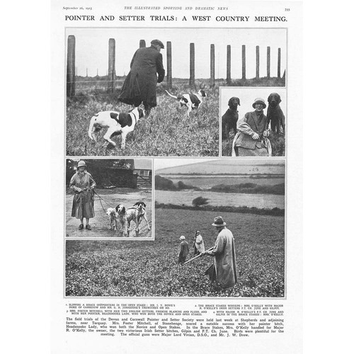 Cani pointer setter - &, processi