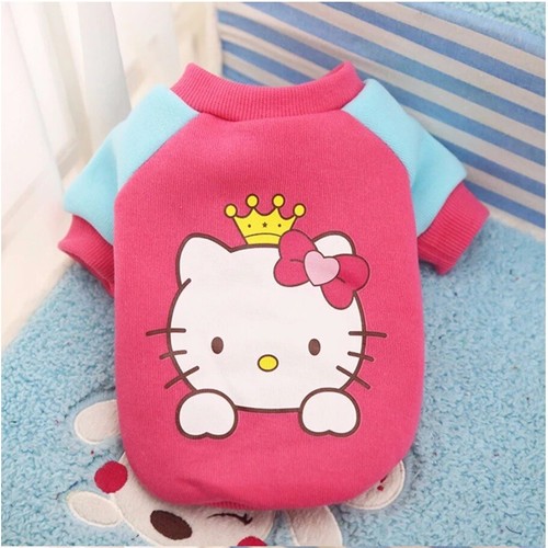 Abbigliamento maglia felpata - maglia,