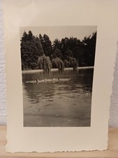 persone che fanno bagno al lago con salice piangente Italia anni '30 vernacolare