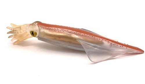 Calamari animale giocattolo - calamari,