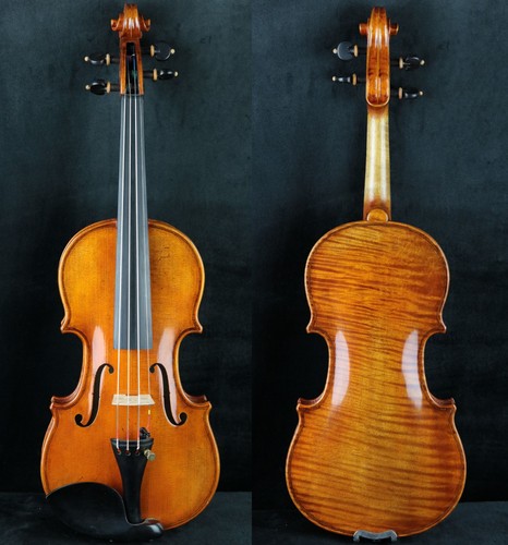 Violino leva alta bello - violino,
