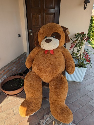Orso peluche gigante - gigante, pupazzo