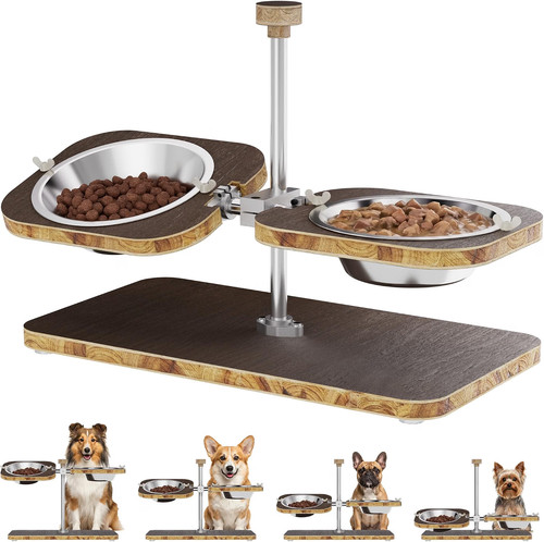 Ciotola cane doppio aumenta - cane,