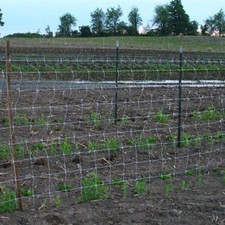 Rete Traliccio da Giardino per