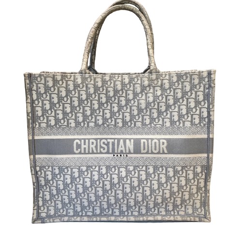 Dior gray oblique embroidered - oblique,