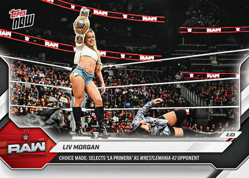Topps wwe wrestling - topps,